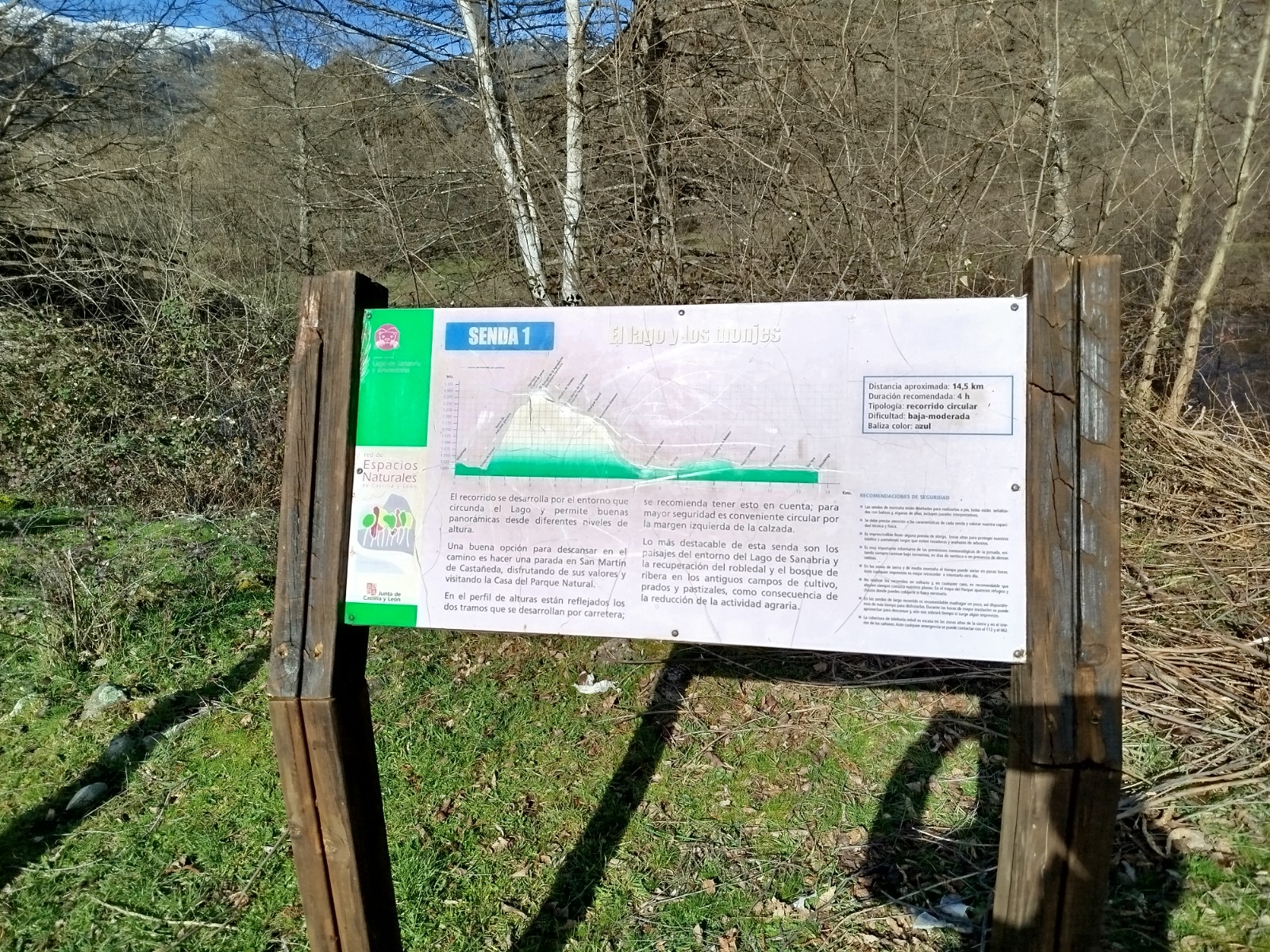 Imagem WhatsApp 2025 03 22 às 22.11.55 f0678397